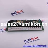 GE PLC IC697BEM731 | sales2@amikon.cn distributor